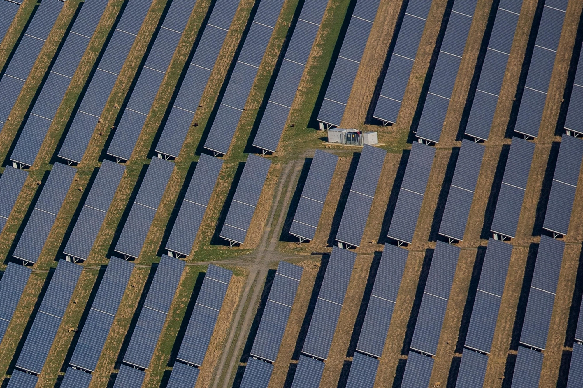 Common Myths About Solar Panels